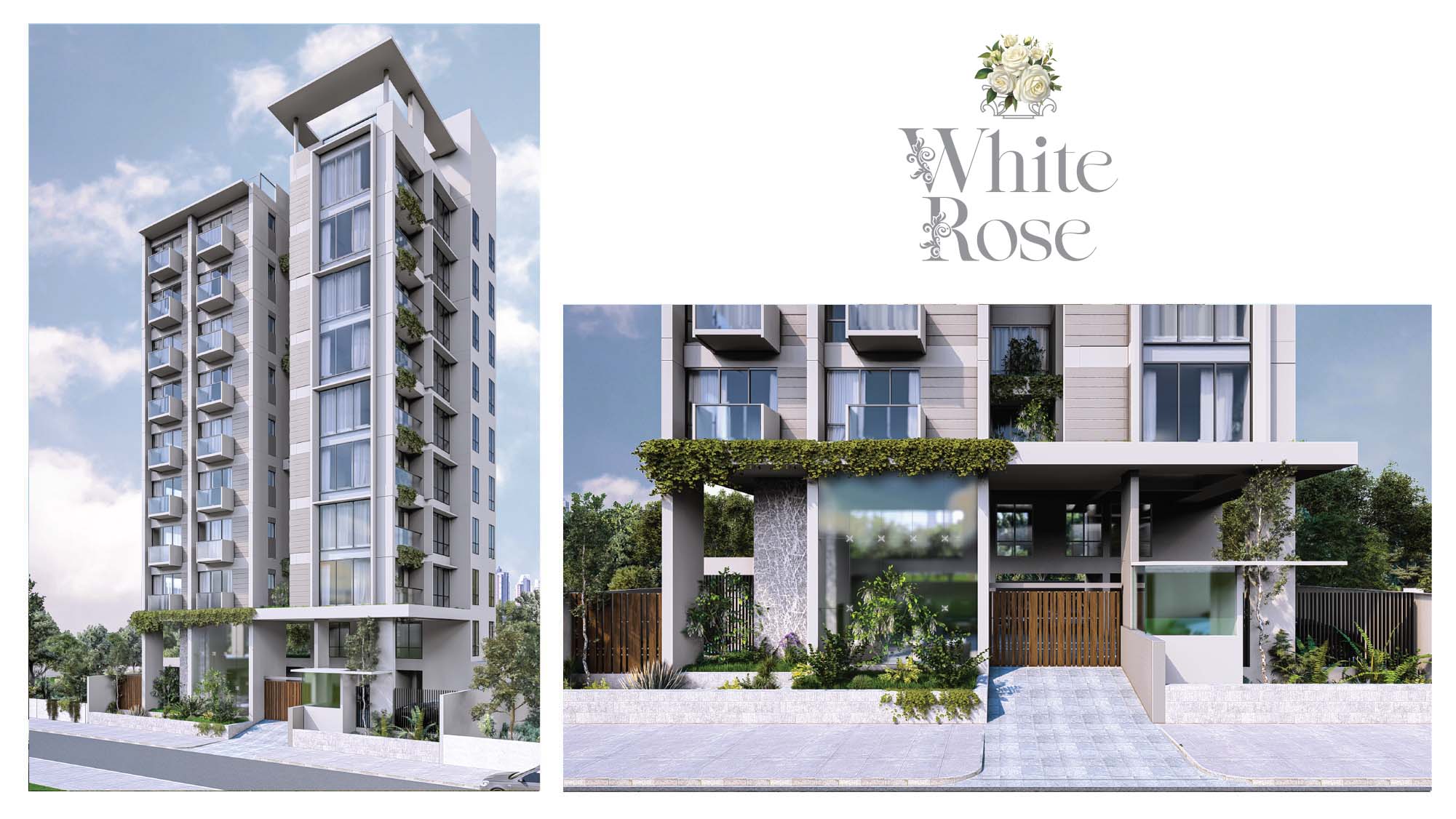 White Rose
